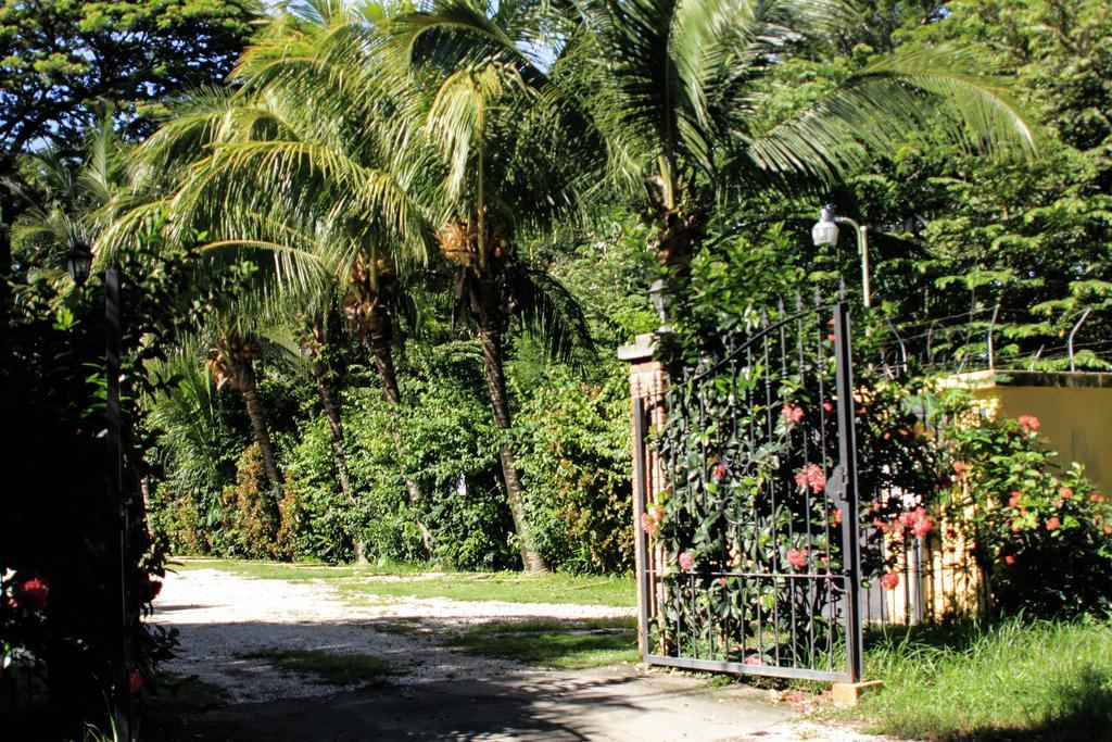 Hotel Isolina Beach Potrero  Exterior foto